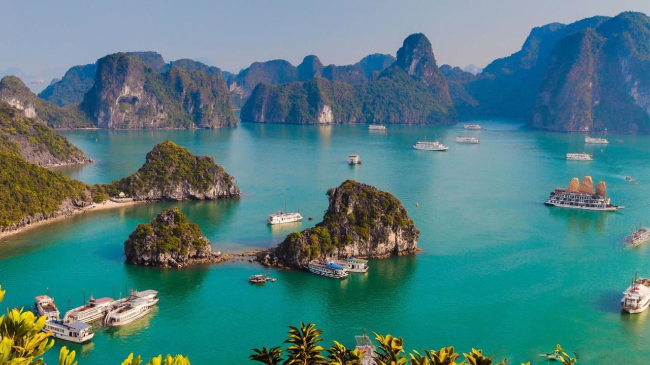 Zo Brother Ha Long Hostel Eksteriør bilde